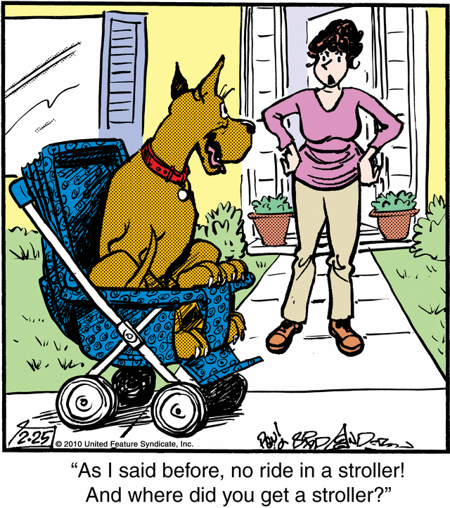 marmaduke
